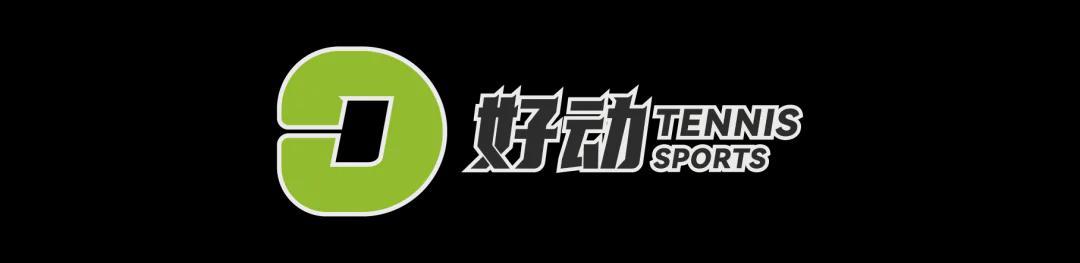 PG电子app下载-史上第二高价格 美网冠军奖杯被拍卖 前世界第一破产后 荣耀也成抵债品